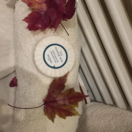 לינה וארוחת בוקר Et Salle De Bain Cocooning Labellisee